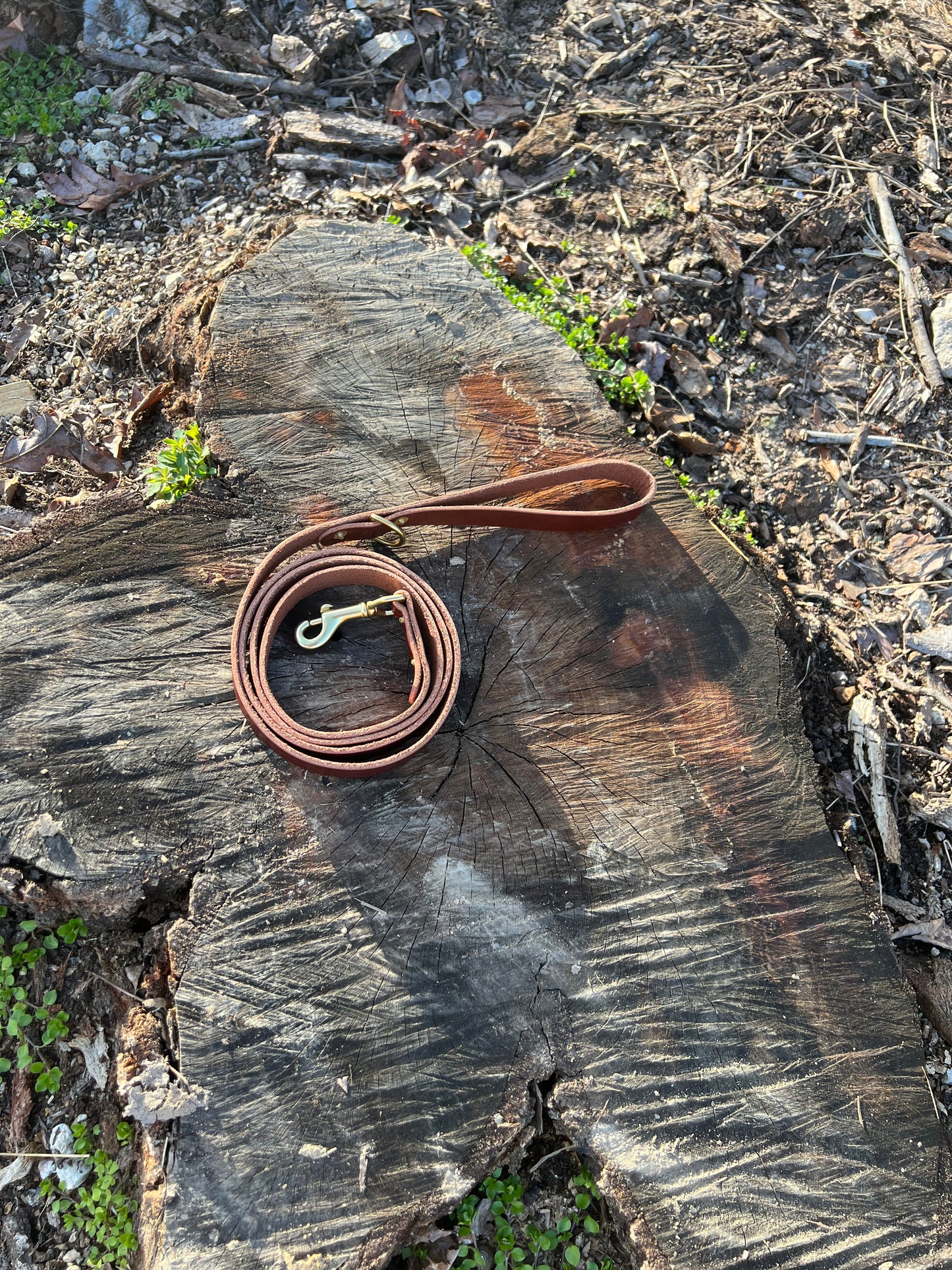 Leather Dog Leashes