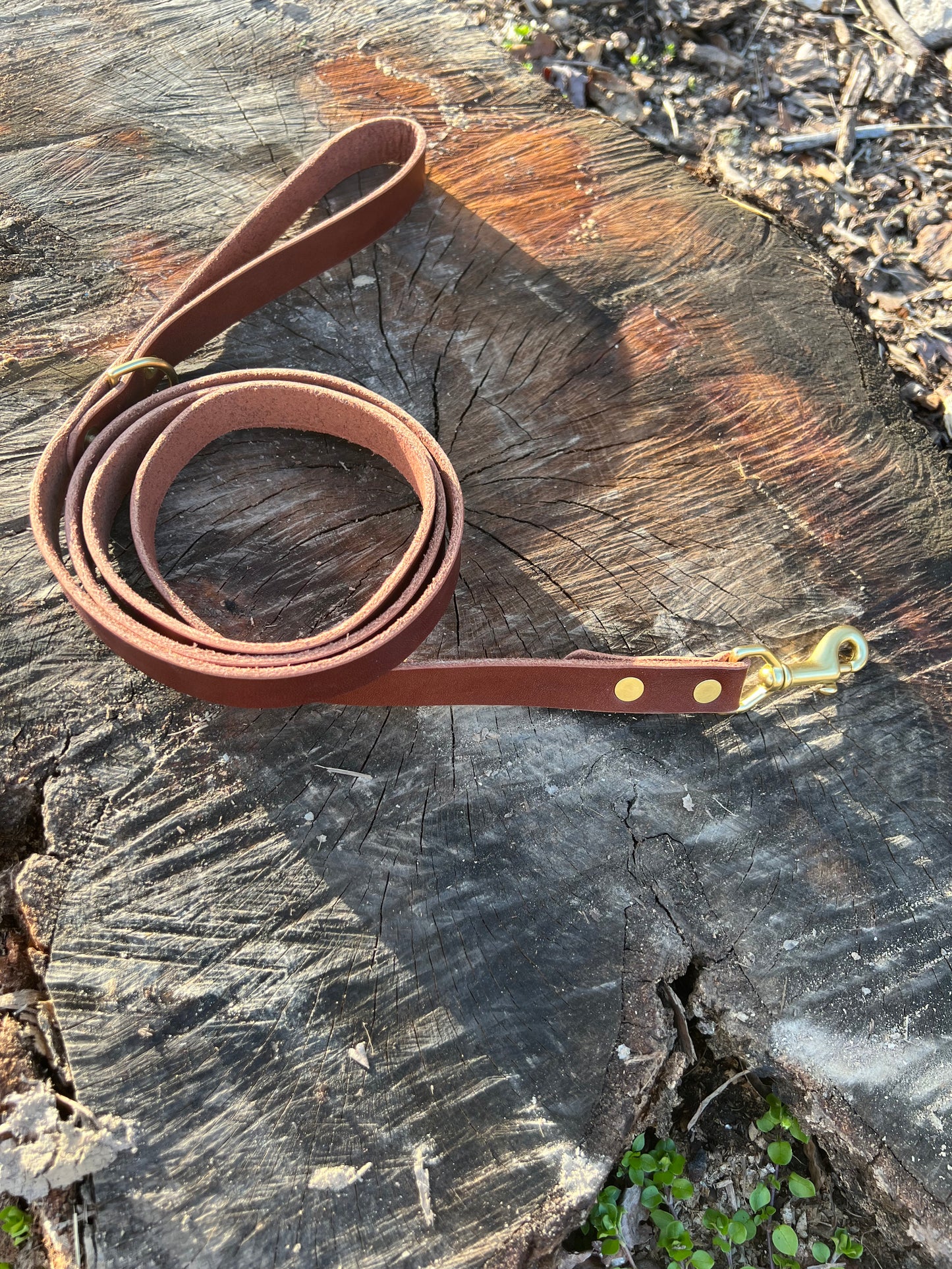 Leather Dog Leashes