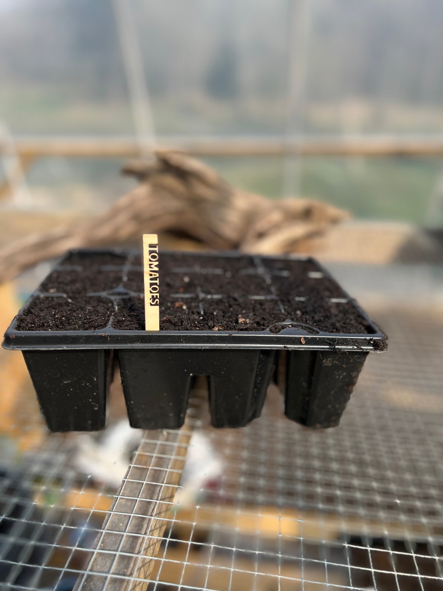 Seed Starter Markers